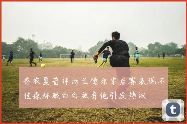 香农夏普评论兰德尔季后赛表现不佳森林狼白白放弃他引发热议