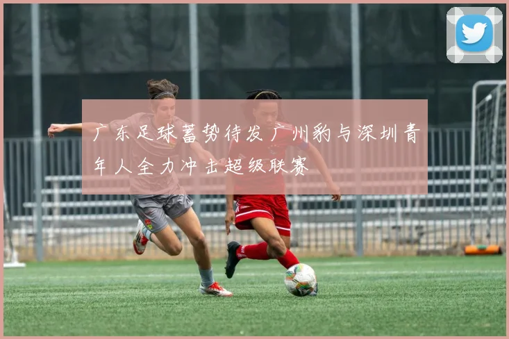 广东足球蓄势待发广州豹与深圳青年人全力冲击超级联赛